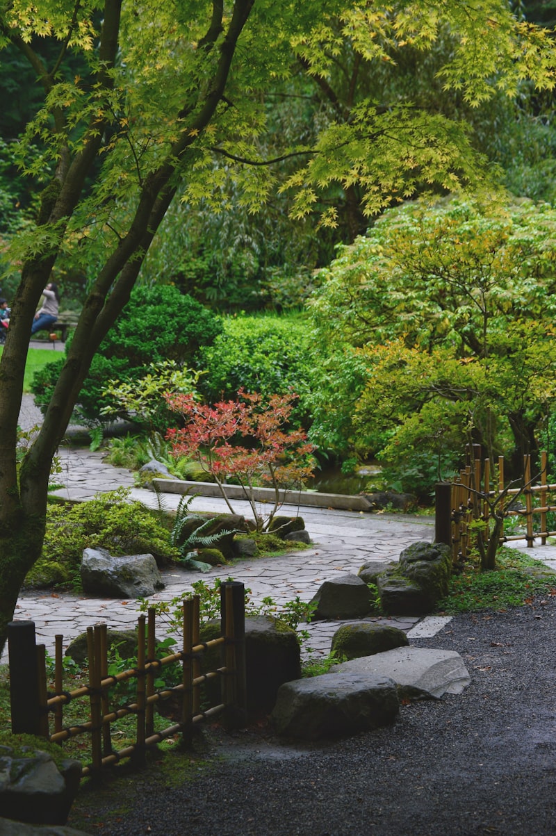 A mossy, dappled woodland path winding between maples and low green planting